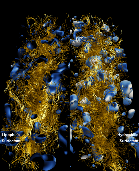 turbulent interactions occurring with different types of impurities (lipophilic and hydrophilic)